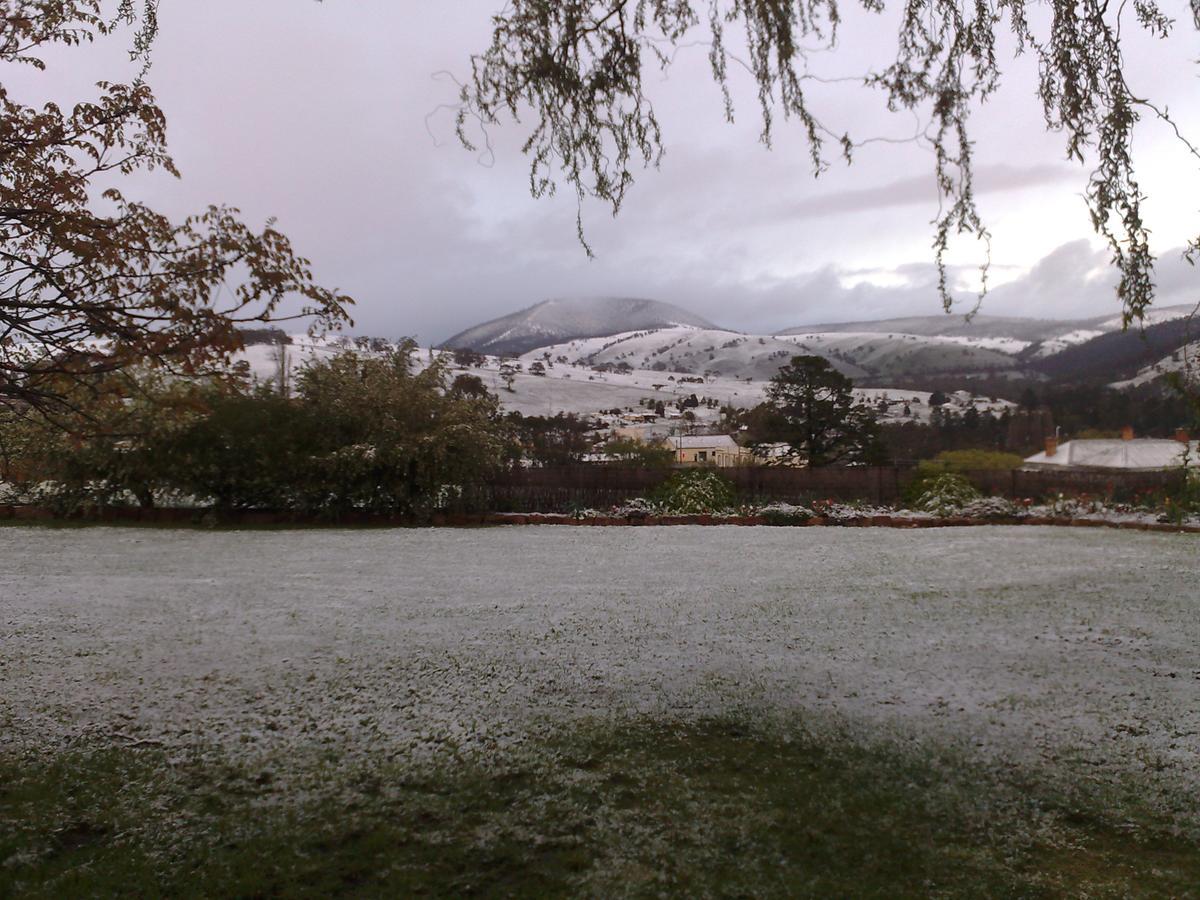 Omeo Motel Экстерьер фото